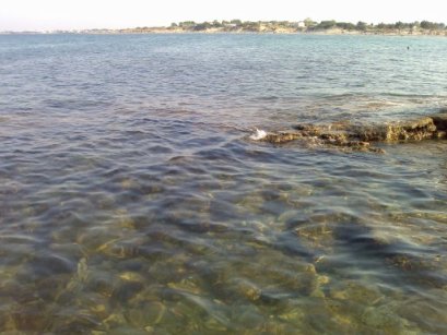 Salentu